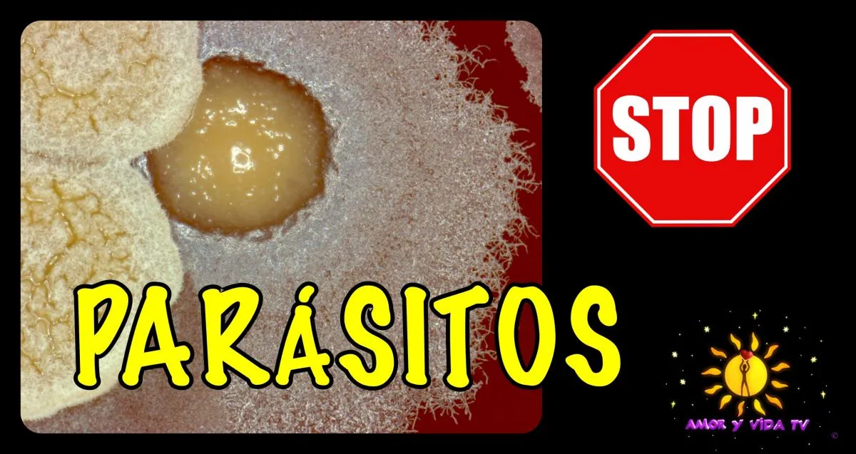 Cómo eliminar los PARÁSITOS del cuerpo