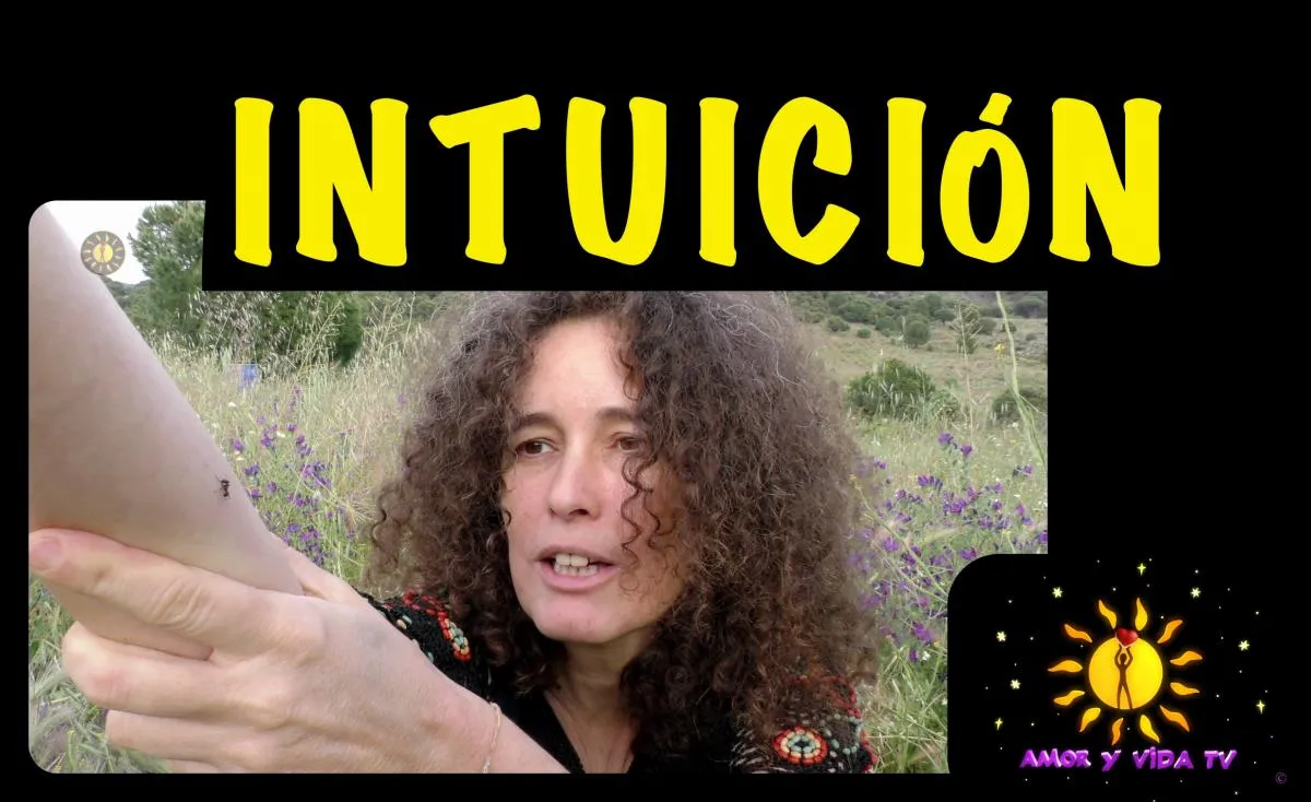 ¿Delegar o usar la intuición?