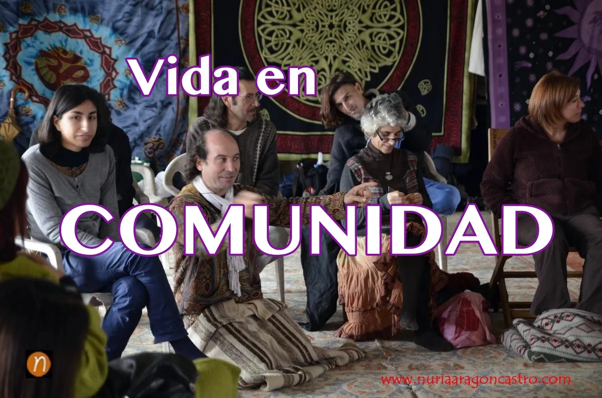 Vida en Comunidad