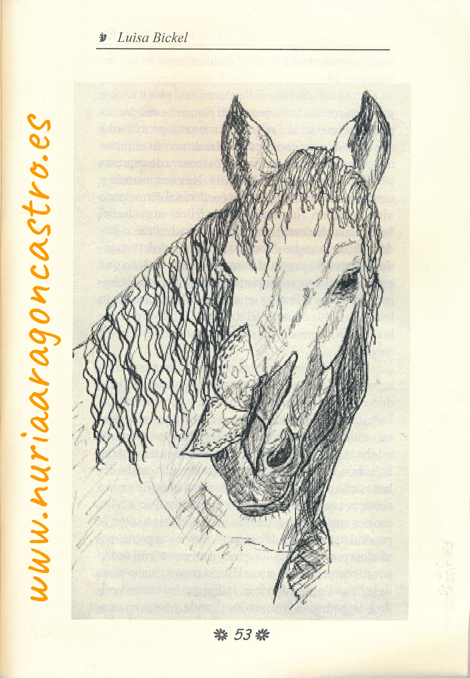 OBRAS_ARTISTICAS_ilustraciones5_ArcoIrisDeFlores5_f